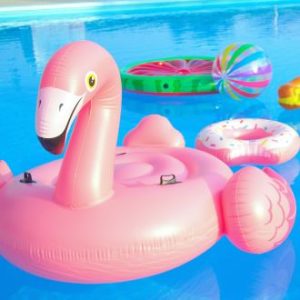 Pool Toys & Floaties